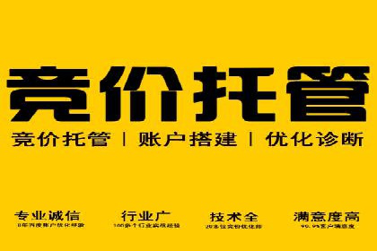 某品牌信息流广告的投放技巧与效果评估